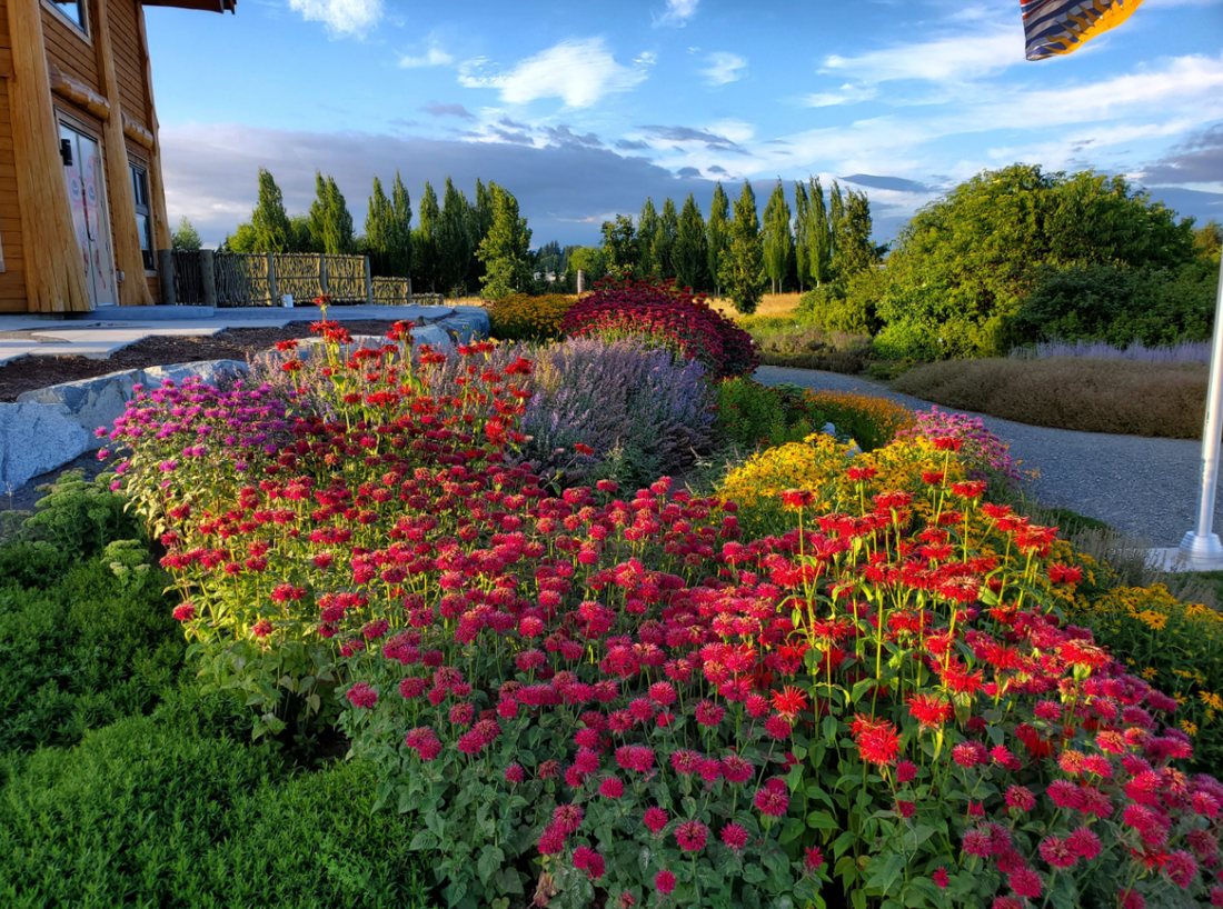 Garden and pathway at Derek Doubleday Arboretum